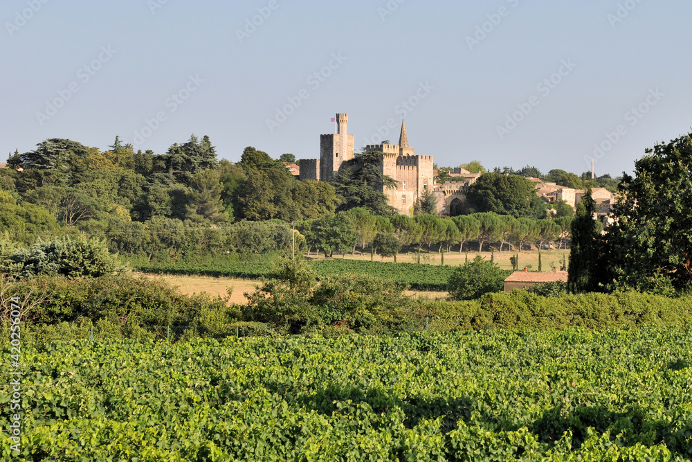 Village de Provence et son château - paysage