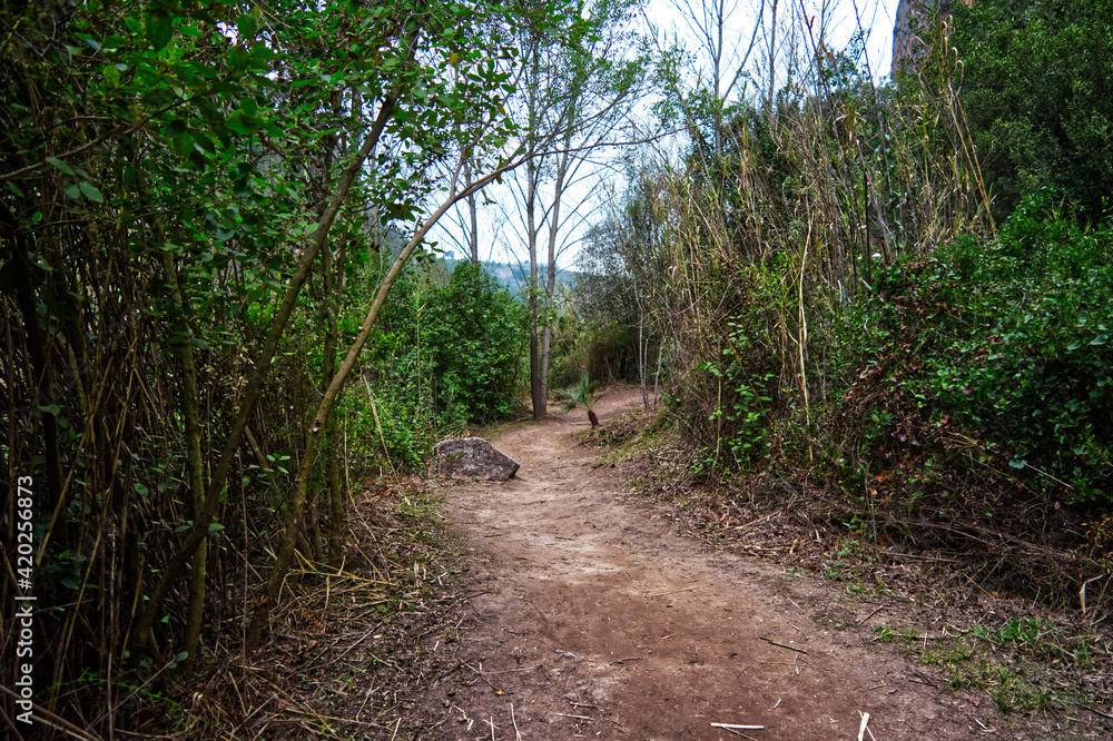 Fototapeta premium Sendero de Chulilla