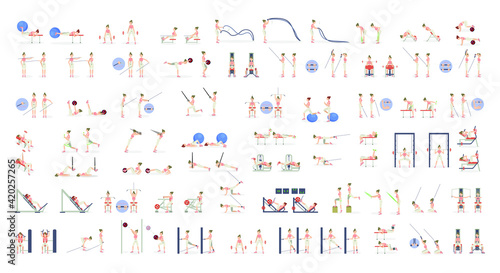 Fitness exercises total body. Fat burn  training in the gym . Fitness equipment. Total body workout. Exercises for all muscle groups
