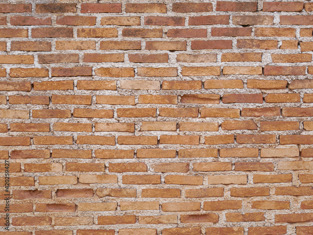 Obraz premium old brick wall background