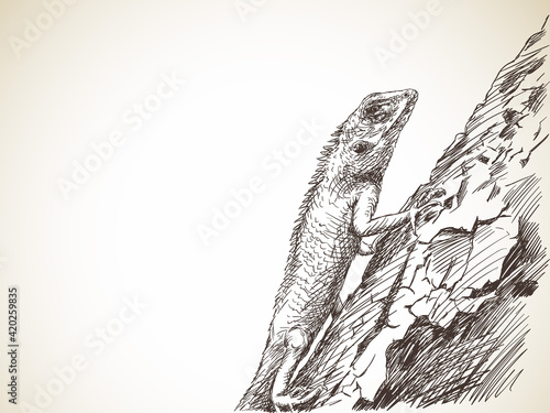 lizard