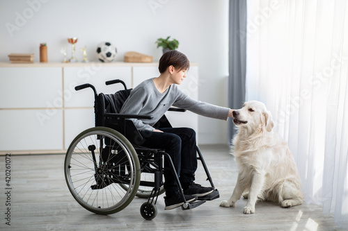 Full length of handicapped teenage boy in wheelchair petting his dog at home. Animal-assisted therapy concept © Prostock-studio