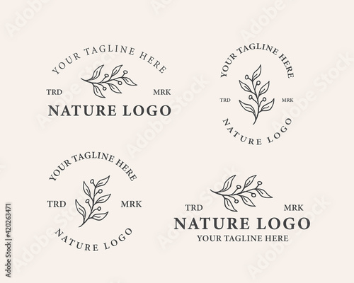 botanical logo template design vector