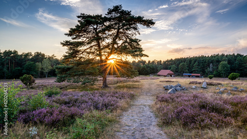Sonnenuntergang in der Heide