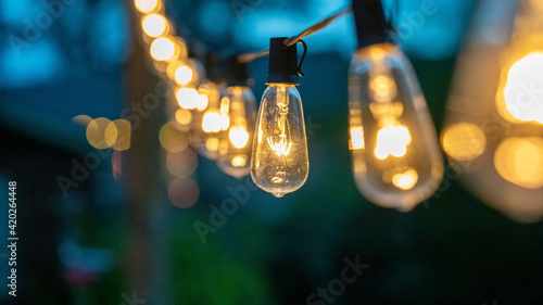 Night time string of edison lights