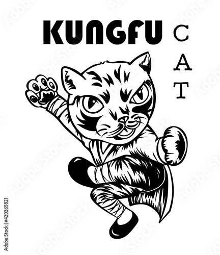 Kungfu cat, fighter cat.