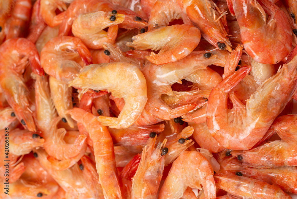Shrimps background texture. A lot of shrimps. Cooked shrimps. Shrimps background texture. A lot of shrimps. Cooked shrimps.