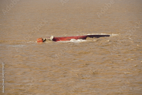 Obraz na plátne Bottom of the capsized ship in the muddy river approaching to  the Shanghai, China