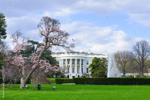 White House in springtime - Washington D.C. United States of America