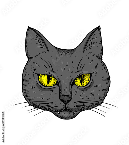 Cat face sketch, vector illustration. Hand drawn. Cat angry portrait. Vector illustration.