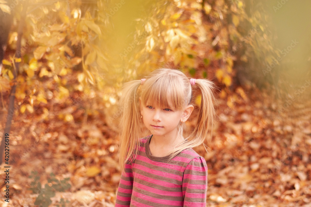 Portrait of a beautiful girl in the autumn park. Cute child with blond hair. Portrait of a beautiful girl in the autumn park. Cute child with blond hair.