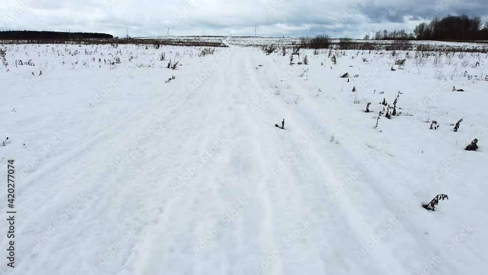 Flight over a field in winter. Flight over a field in winter.