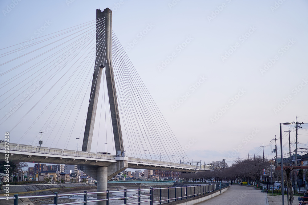 Obraz premium 河川沿い