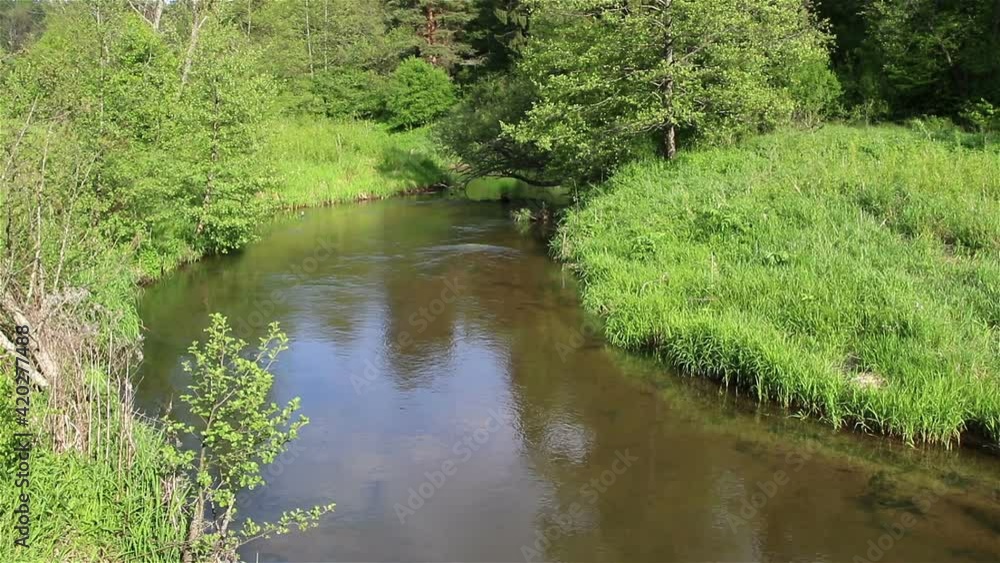 The forest river, current of water in the forest river, Isloch, Belarus The forest river, current of water in the forest river, Isloch, Belarus