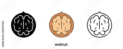 Walnut icon design. Walnut icon set in silhouette, colored and linear. Walnut icon line vector illustration isolated on a clean background for your web mobile application logo design. Modern line.