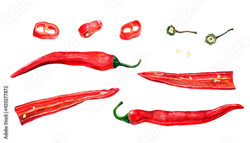 Chile. Hot pepper pods in watercolor. Illustration on white back