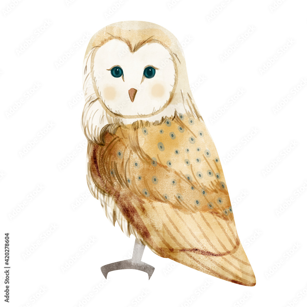 Naklejka premium Watercolor illustration of the owl on white background 