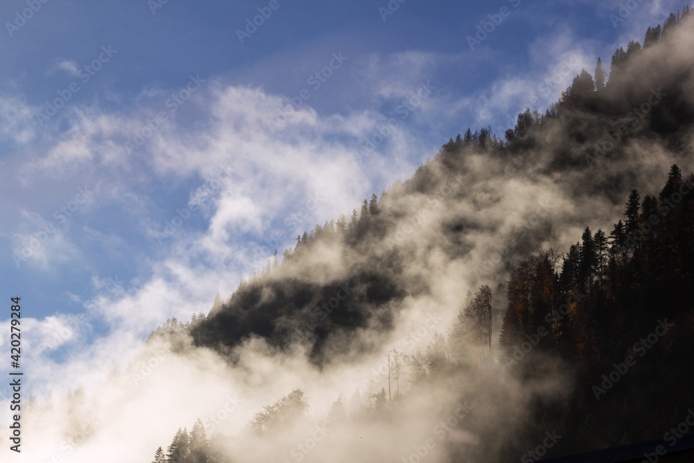 fog rising over the forest on the hill in winter weather in the morning fog rising over the forest on the hill in winter weather in the morning