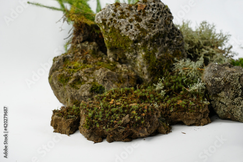 Composition of moss, stones and dry branches on white background