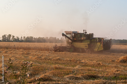 Harvester in the field. Grain harvesting. © Ilmar