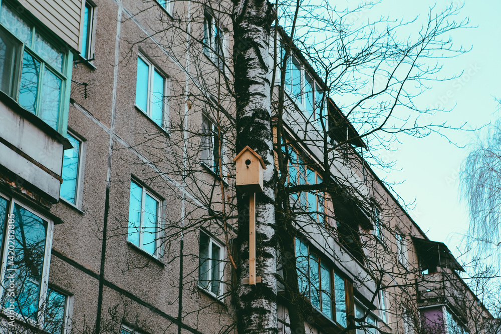 wooden birdhouse on a tree in the city