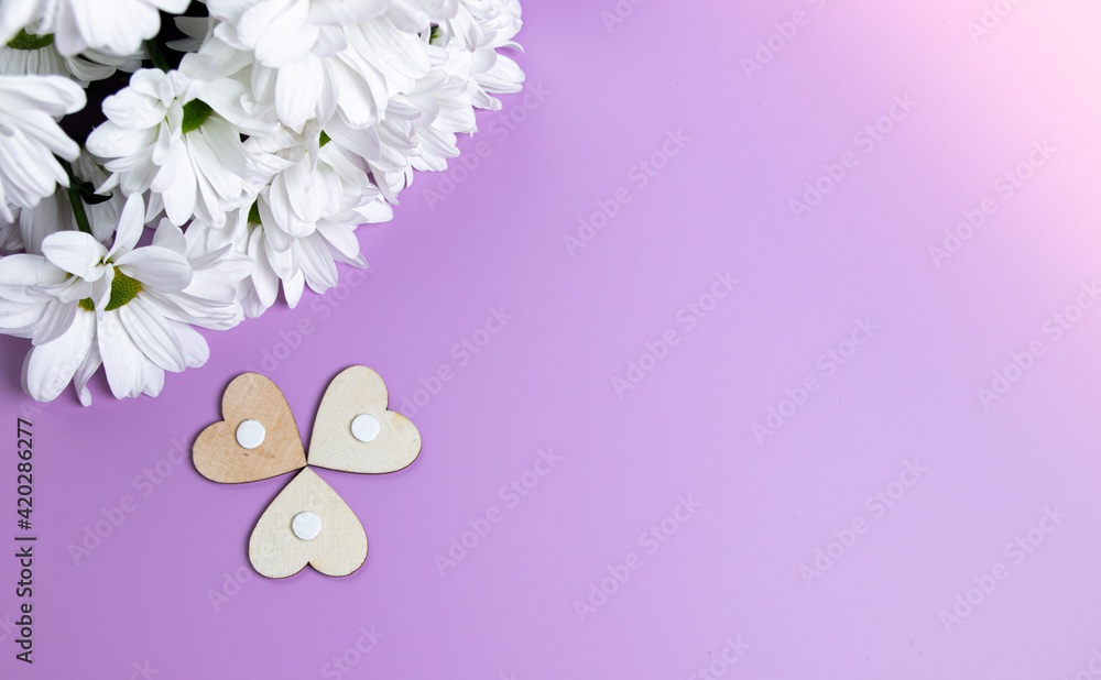 White spring flowers on purple background White spring flowers on purple background