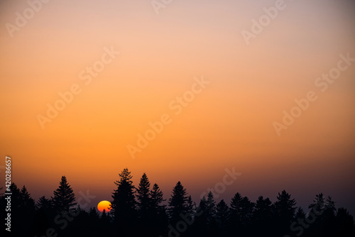 Sun goes down behind the top of the trees during sunset in Winter with orange sky