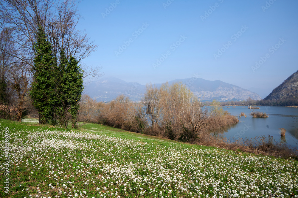 Naklejka premium torbiere