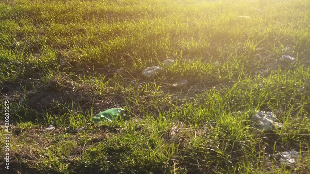 Outdoor countryside meadow grass nature. Rural grass field landscape