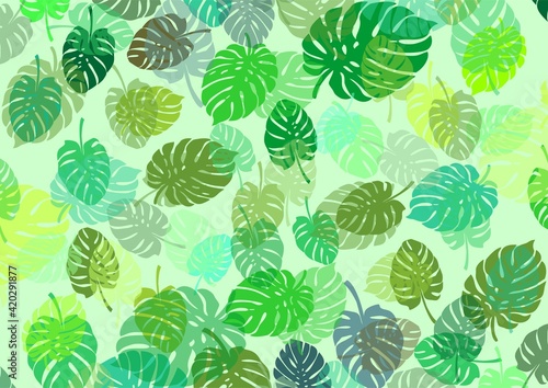 Green seamless background with leaves of the plant called monstera as a base for designing your own works