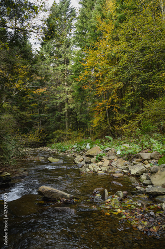 Scenic view of shallow stream and autumnal forest in mountains 