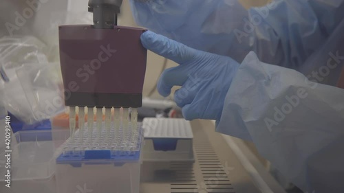 laboratory analysis. test for covid 19.