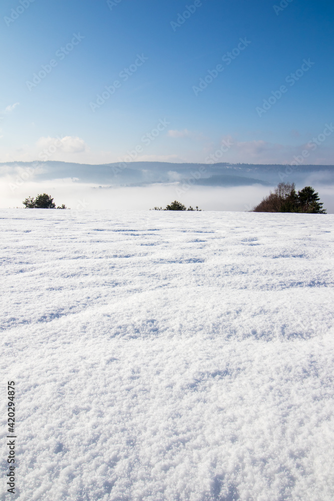 Obraz premium winter landscape with snow and trees