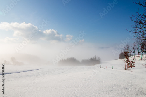 winter landscape with snow and trees