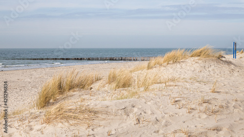dunegrass in foreground with North Sea with wavebreakers under blue sky in the background