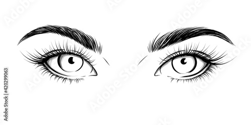Eyes looking straight. Sexy look. Fashion illustration. Eye with eyebrows and long eyelashes. Vector EPS 10.