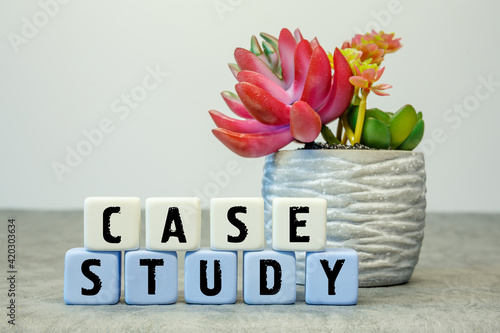 Soft cubes with the abbreviation CASE STUDY with a flower