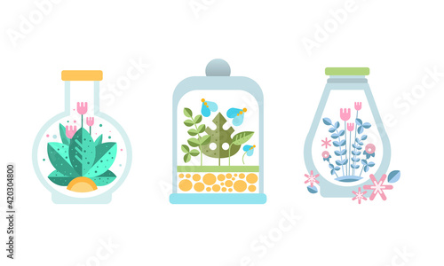 Plants and Blooming Flowers inside Glass Florarium Set, Terrarium with Green Plants, Nature Conservation Cartoon Vector Illustration