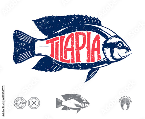 Vector tilapia fish label isolated on a white background