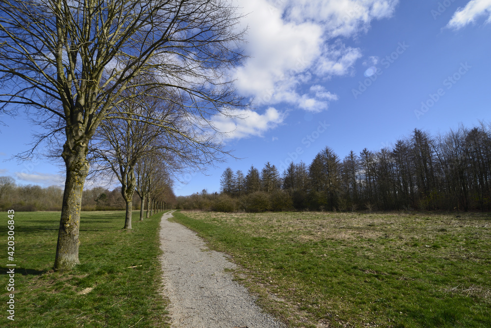 Landscape with a lonely path in bright sunshine Landscape with a lonely path in bright sunshine