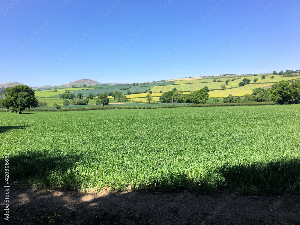 A view of the Shropshire Countryside near Church Stretton