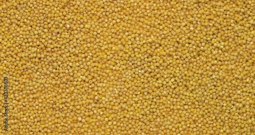 Closeup millet groats rotation, background, texture. Slow motion 50fps, zoom effect. Food background.