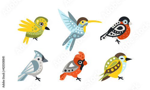 Collection of Colorful Birds, Hummingbird, Bullfinch, Northern Cardinal Cartoon Vector Illustration © topvectors