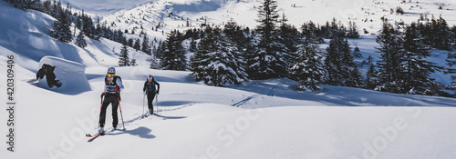 Mountaineer backcountry ski walking ski alpinist in the mountains. Ski touring in alpine landscape with snowy trees. Adventure winter sport. photo