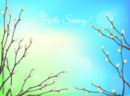Spring background with willow branches. Vector illustration for web site design, banner, card, other. 