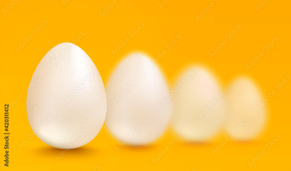 Realistic white eggs Realistic white eggs