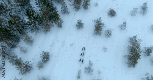 Dog sled pulls a sled, huskies are running along a snow track. Aerial view, dog racing along a snow track, around a pine tree. Beautiful winter landscape. 4k, ProRes