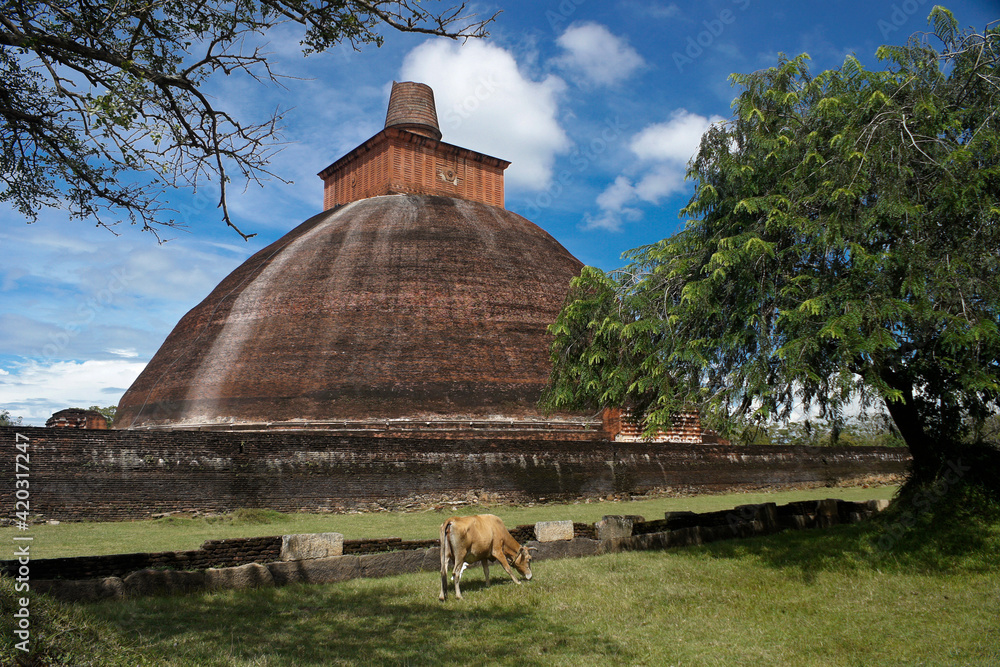 Obraz premium Jetavanarama Dagoba, Anuradhapura, Sri Lanka