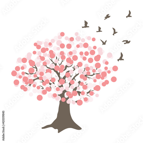 cherry tree blossom