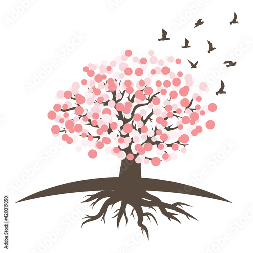 cherry tree blossom